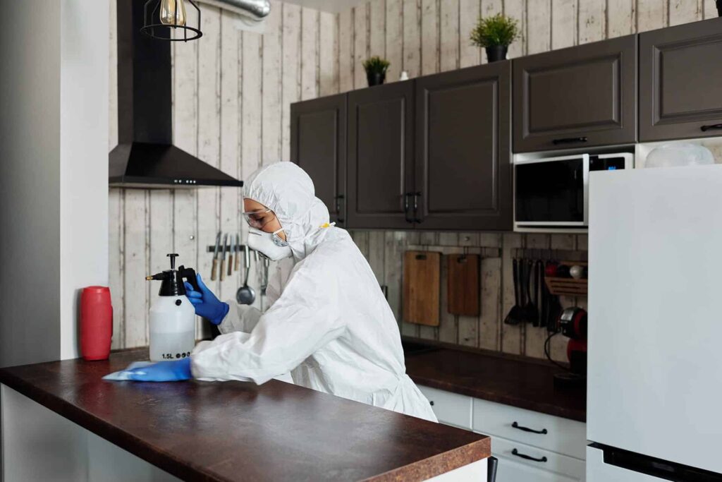 The best kitchen cleaning tips and tricks Pexels Matilda Wormwood 4099470 1024x683